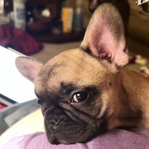 Nurse D’s Closet - Picture 2 of 2